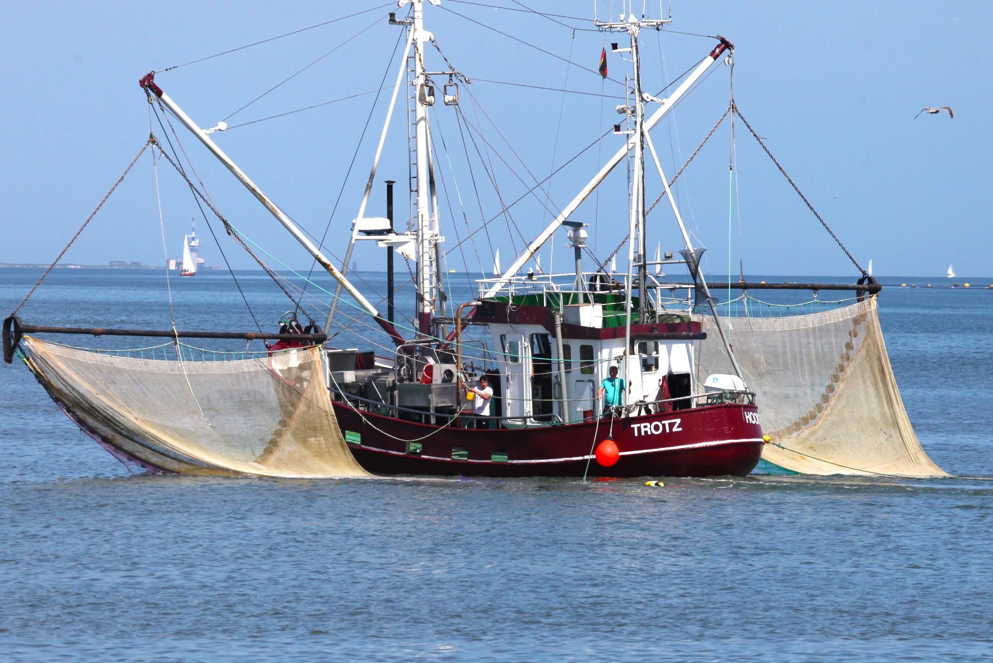 Wangerländer Seetouristik